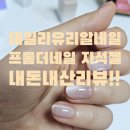 [프롬더네일 자석젤-FG221] 여리한 데일리 유리알!_내돈내산