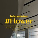 인터미션 이미지