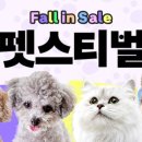 반려동물