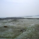대포갯벌 이미지