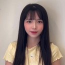 헤어비비디