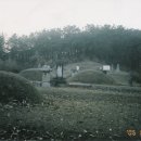 이성군묘 이미지