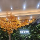 씨유 보령쏠레르점 | 대천해수욕장 쏠레르호텔