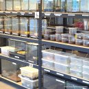 와우펫 | 양산 파충류샵 와우펫앤쥬 양산점 햄스터, 도마뱀 만나보는 입장료 무료