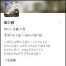 <b>숨고</b> 피아노 조율& 수리 내돈내산 후기 (서울, 경기 지역)