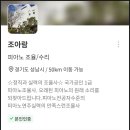 숨고 피아노 조율&amp; 수리 내돈내산 후기 (서울, 경기 지역)