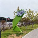 스카이라인루지부산 이미지
