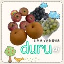 한계마을(참새미영농조합) | 친환경농산물 앱 duru ai 소개 친환경과일꾸러미 후기 및 중기 이유식 과일퓨레 만들기