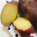 지훈농장 이미지