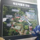 울릉중학교 | [울릉울릉 울릉도 3박4일 여행기] DAY3 - 자전거탄풍경(스쿠터) / 독도박물관 / 다와호떡 / 신비섬횟집...