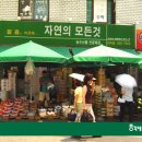 야채파는총각