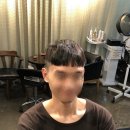 보리떼 모노