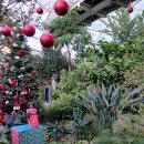 순천 정원박람회장 어제 구경 다녀왔습니다. 이미지