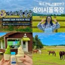 제주 한림 가볼만한곳 성이시돌목장 무료 주차 우유 아이스크림