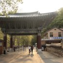 내원사계곡(내원사) 이미지