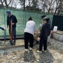 흙뿌리 농장 이미지