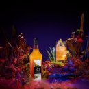 주식회사 루틴 이미지