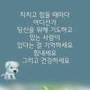 ♤밤에 읽는 조선왕조실록 &#34;夜&#34;사(1편)♧ 이미지