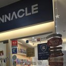 (초급) 성인영어회화 이미지