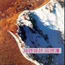 성도FA