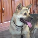 반야농장 이미지