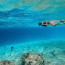 당구뱅크 | 몰디브 푸시파루(Fushifaru) 올인클루시브 ｜가성비 좋은 럭셔리 수상빌라 완전 정리