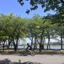 양지초장 이미지