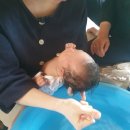 꽃다울네일 | 콩이 성장일기 생후 4주