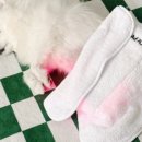 봄나래동물병원 이미지