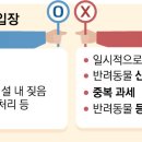 반려와 이미지