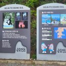 쌍근마을 | 거제도 애견동반 관광지 3곳(거제식물원, 쌍포교회, 근포땅굴포토존 / 주차)