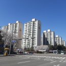 영통 황골사거리 이미지