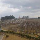 쇼콜라펜션 이미지