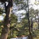 휘영컴퍼니 | [휘영] P의 여행