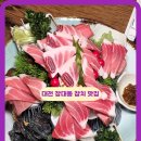 대전장대중학교 | 대전 장대동 맛집 참치회 유성온천역 참치향