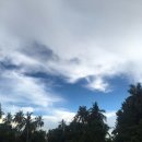 동막골식당 이미지