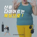 한국체대라학균복싱클럽
