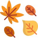 리안헤어 잠실역점 | 2020가을염색 추천2탄, 잠실역미용실/송파동미용실 리안헤어 잠실역점 후기