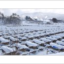 황태덕장 이미지