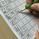 씨자인