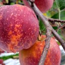 우수3농장 이미지