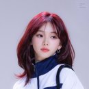 데이데이샵 이미지