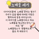 오드리물 이미지