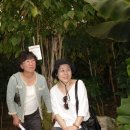 횡성목장 이미지