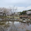 국원고등학교 이미지