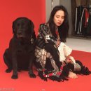 우리펫 이미지