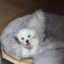 함마로그 개큰시작.. 할 수 있겠죠...?