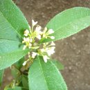 계화농장 이미지