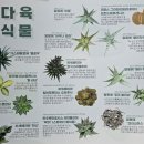 서울식물원 129 이미지