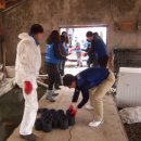 공도읍사무소 앞 이미지